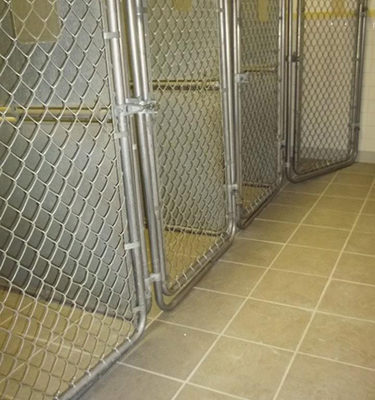 Kennel