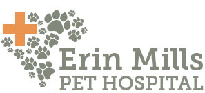 Veterinarians in Mississauga | Erin Mills Pet Hospital