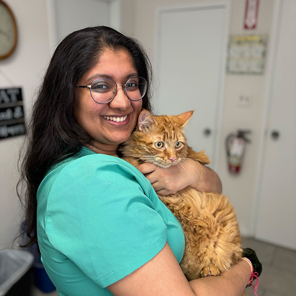 Divya vet assistant